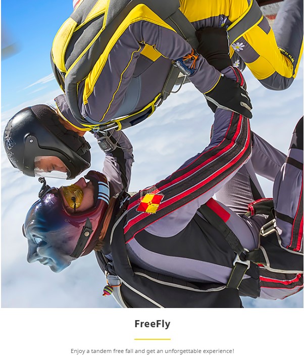 FreeFly